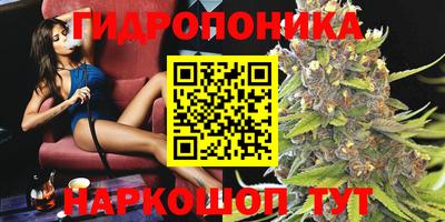гидра Дубна