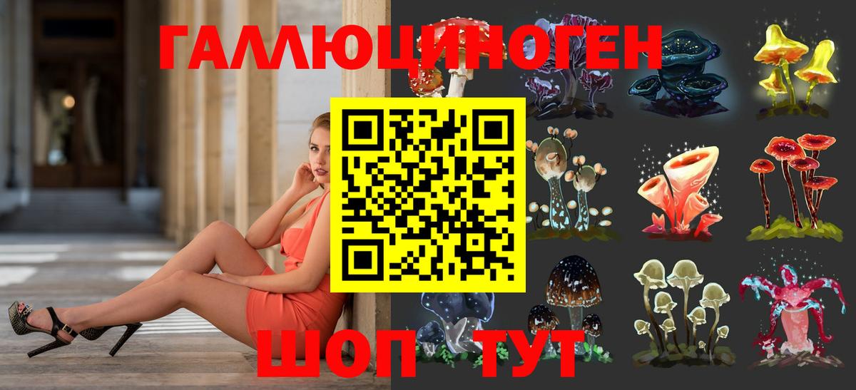 Псилоцибиновые грибы Psilocybine cubensis  Вход с VPN  Керчь 
